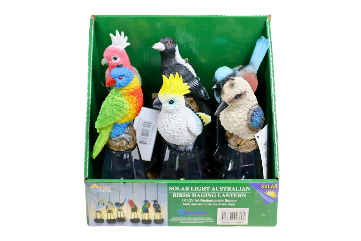 Solar Lantern w/Australian Birds 20cm 6 Asstd PDQ