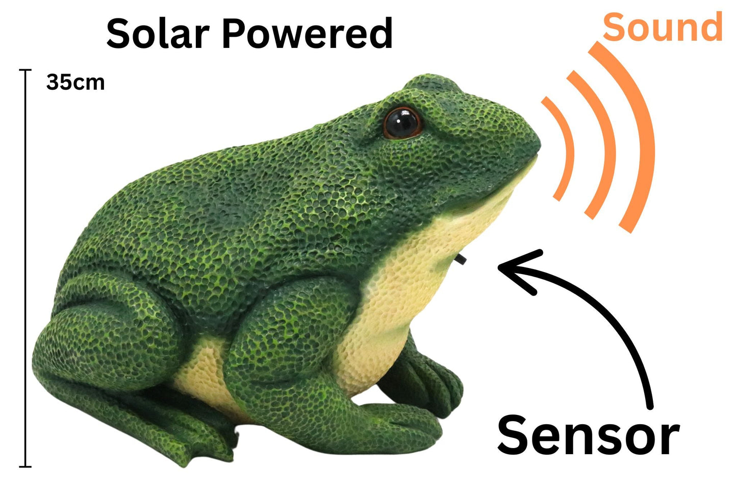 Resin Animal w/Sensor Sound Frog 35x22cm