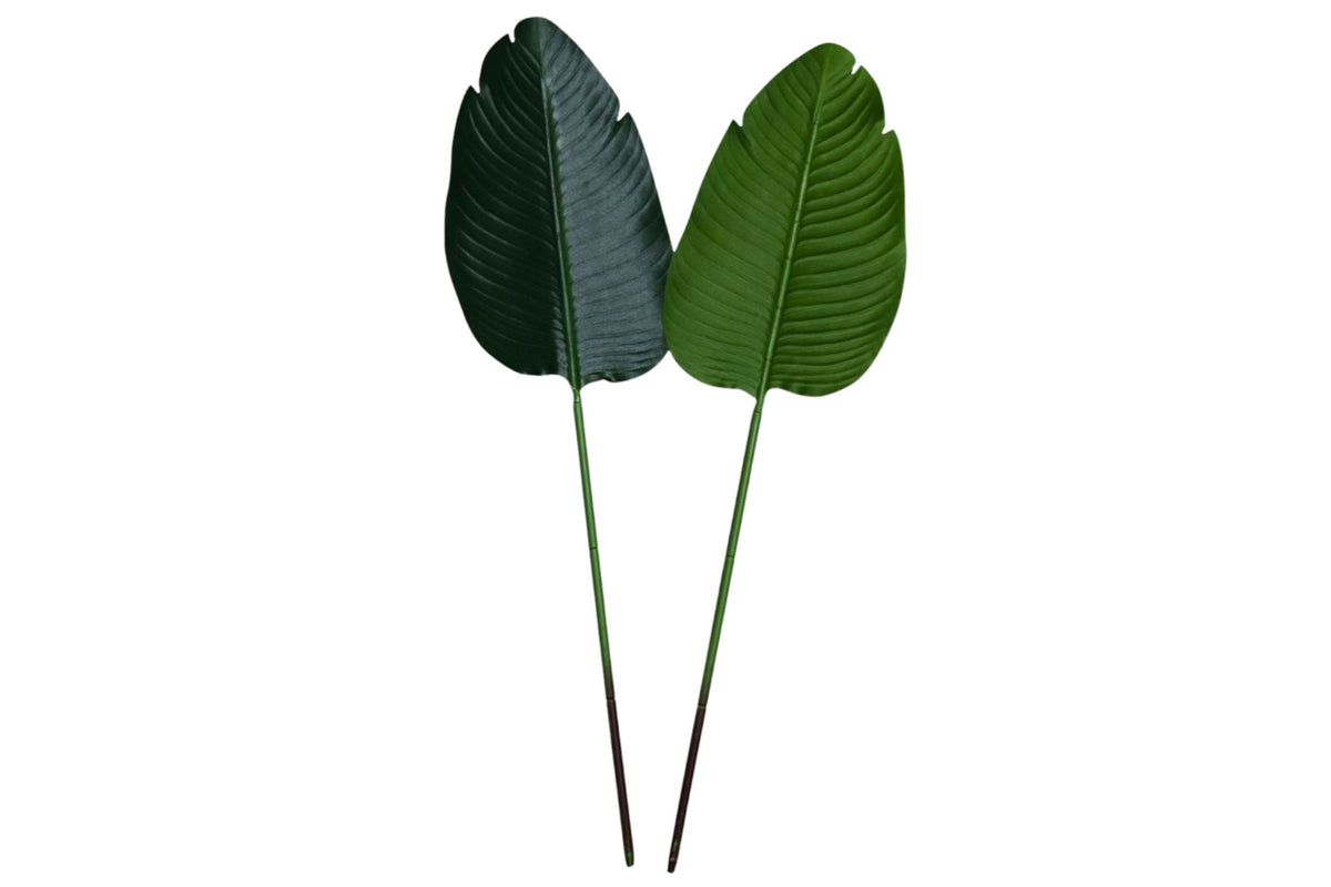 Banana Leaves 36x22x80cm