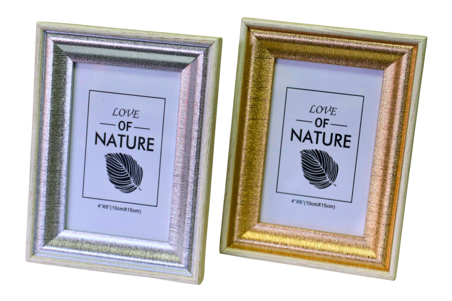 Photo Frame 10x15cm 2 Asstd