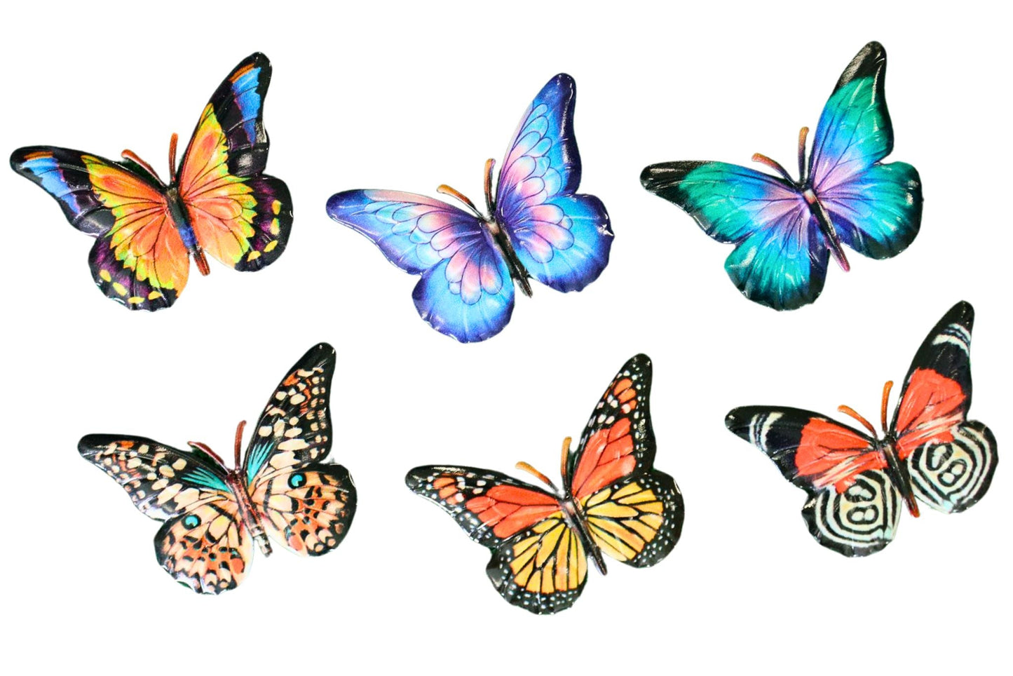 Magnet Butterfly 9x6cm 6 Asstd