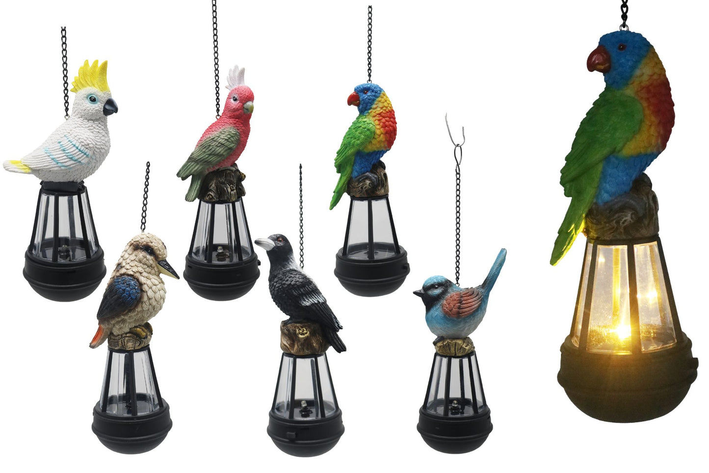 Solar Lantern w/Australian Birds 20cm 6 Asstd PDQ