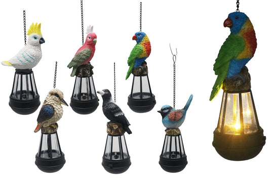 Solar Lantern w/Australian Birds 20cm 6 Asstd PDQ