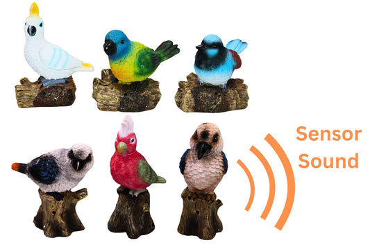 Aust Birds Sensor Light/Sound 14-22cm 6 Asstd B/O PDQ