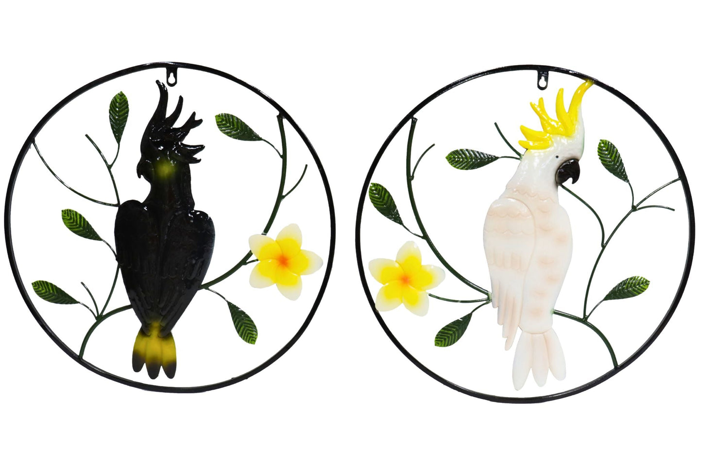 Metal Wall Art Cockatoo Round 50cm 2 Asstd