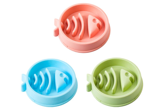 Pet Slow Feeding Bowl Fishbone 350ml 21x4.5cm 3 Asstd