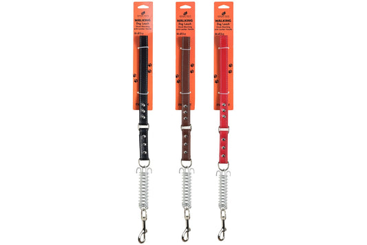 Shock Absorbing Dog Leash w/Faux Leather Handle 2.0x55cm 3 Asstd