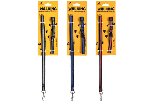 Reflective Nylon Dog Collar & Leash Set 1.0x30cm/1.0cm x 1.2m 3 Asstd