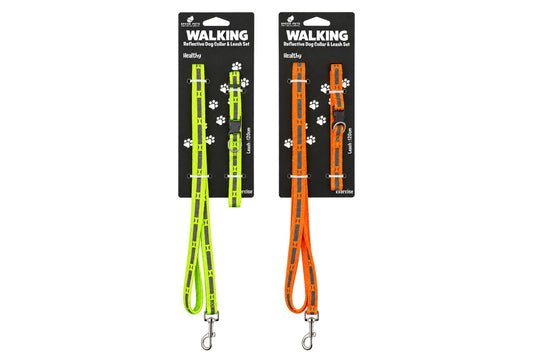 Neon Reflective Nylon Dog Collar & Leash Set 1.0cm x 1.2m 2 Asstd