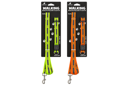 Neon Reflective Nylon Dog Collar & Leash Set 1.5cm x 1.2m 2 Asstd