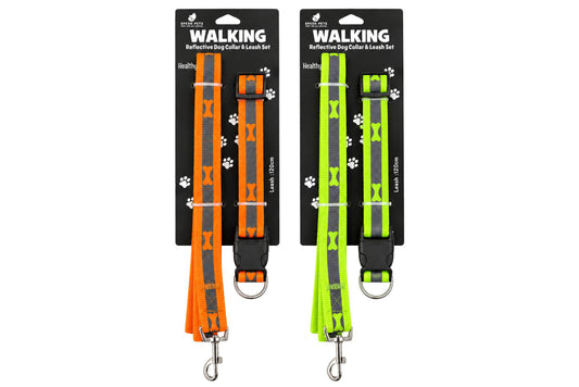Neon Reflective Nylon Dog Collar & Leash Set 2.5cm x 1.2m 2 Asstd