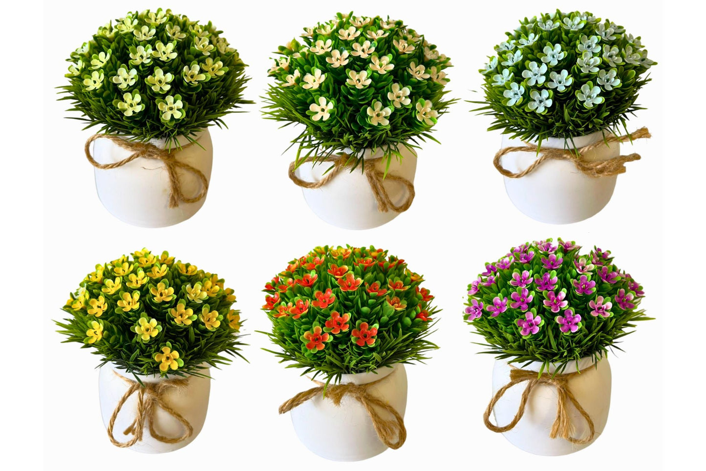 Floret Potted  6 asstd