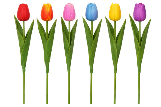 Single Stem Tulip