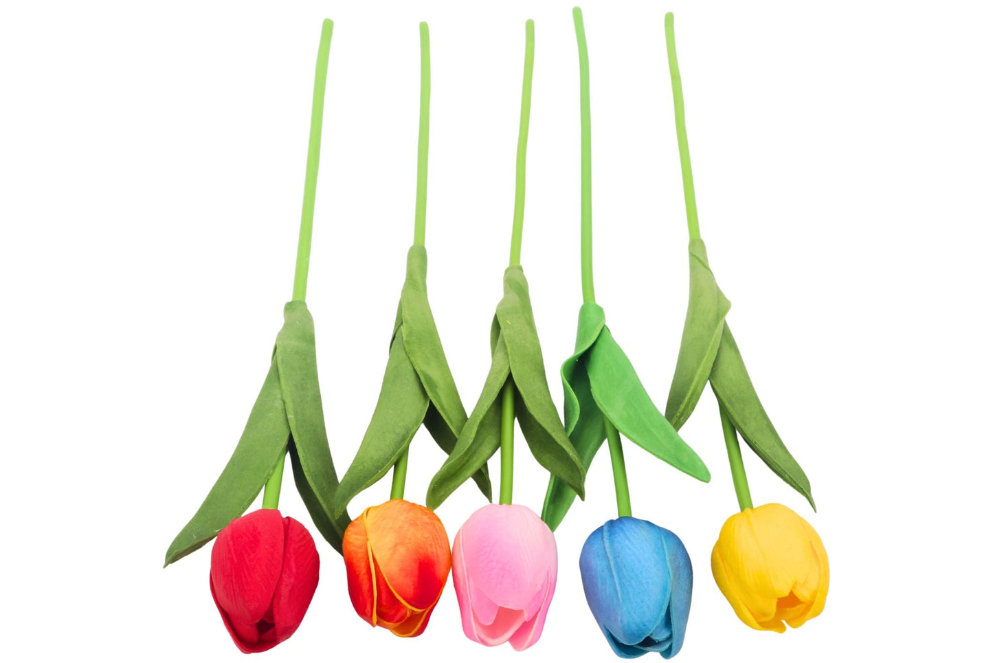 Single Stem Tulip