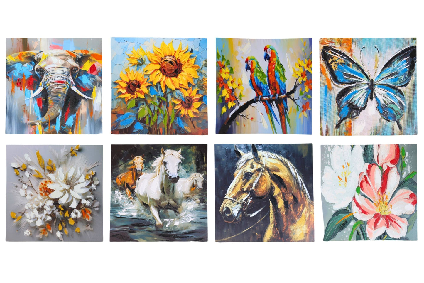 Oil Painting 60x60cm 8 Asstd