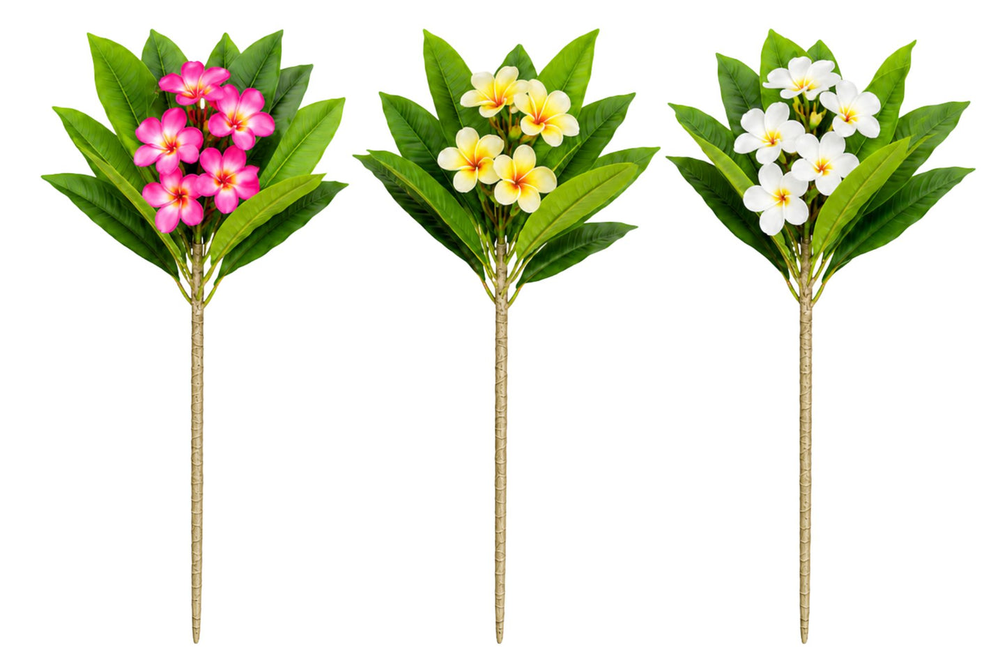 6 Branches Frangipani 60cm 3 Asstd