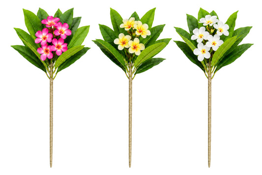6 Branches Frangipani 60cm 3 Asstd