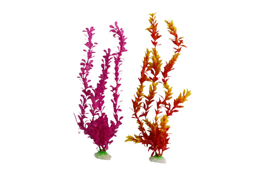 Plastic Aquatic Plant