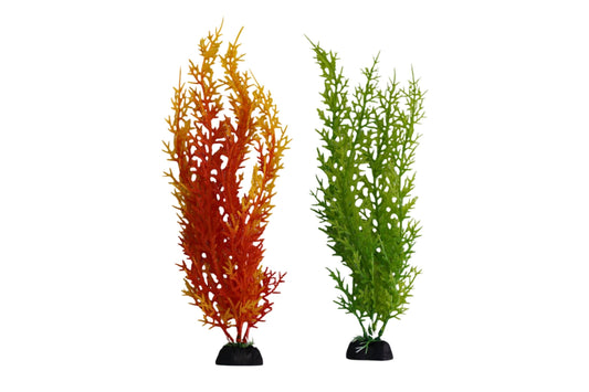 Plastic Aquatic Plant
