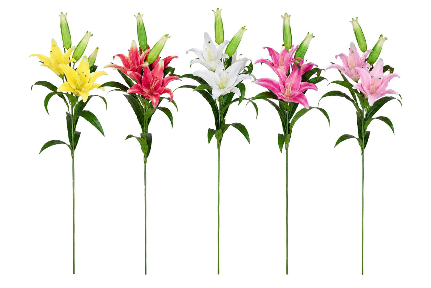 3 Heads Lily 95x15cm
