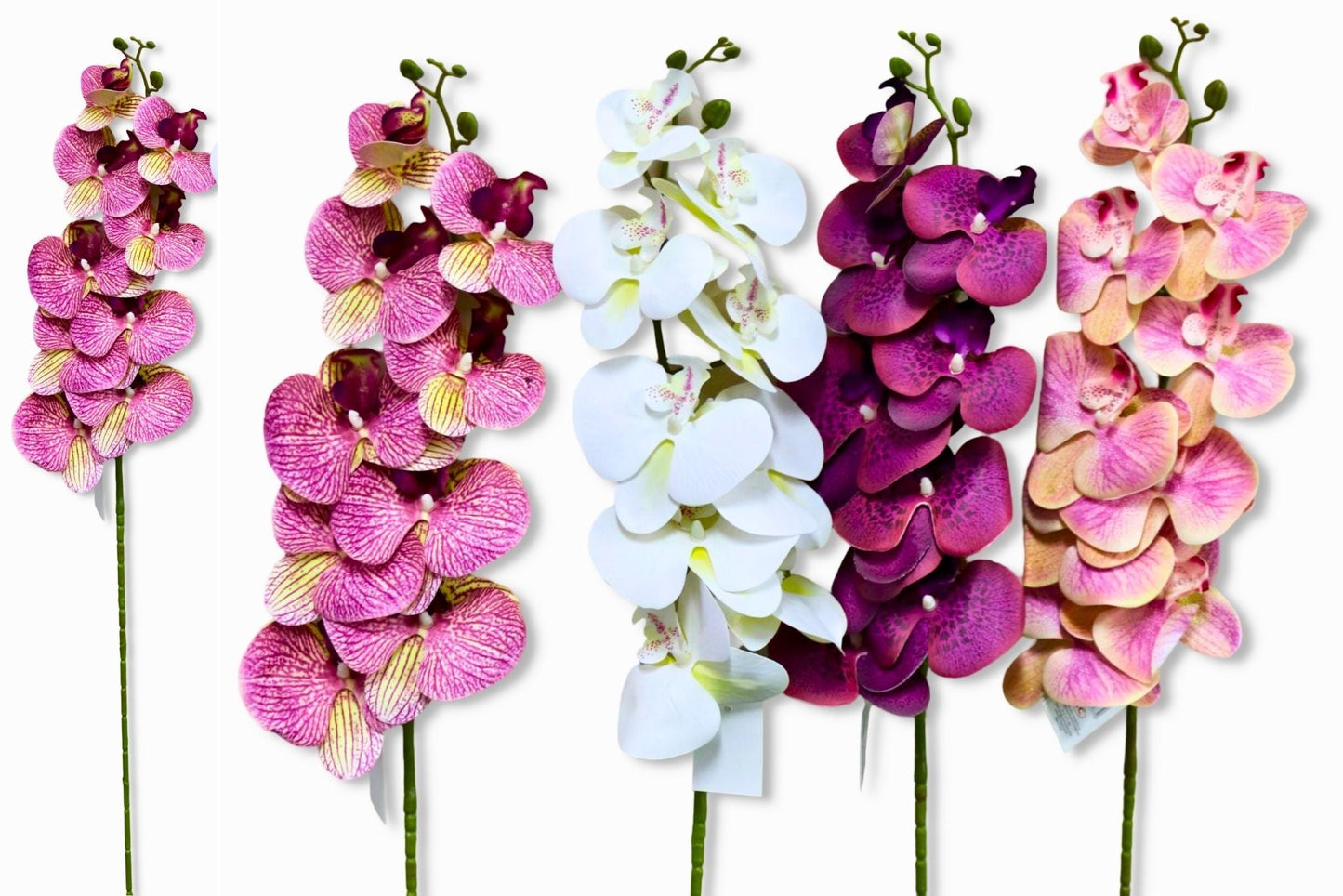 9 Heads Orchid 100cm 4 Asstd