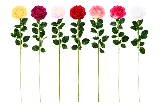 Single Stem Rose 80cm