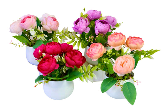 5 Head Peony w/ Pot 19cm 4 Asstd