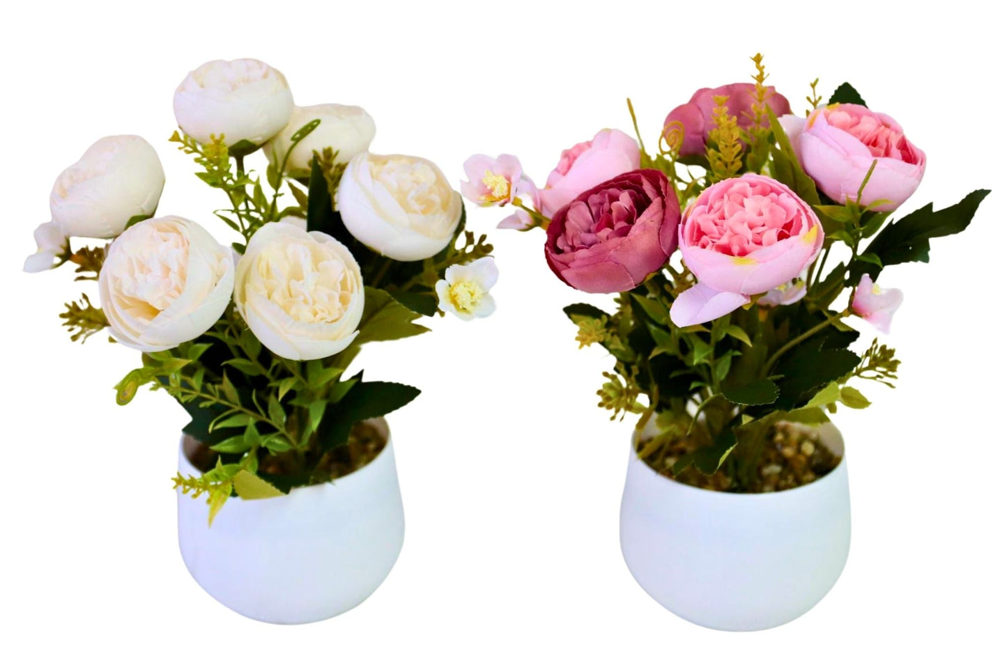 6 Head Rose w/Pot 22cm 2 Asstd