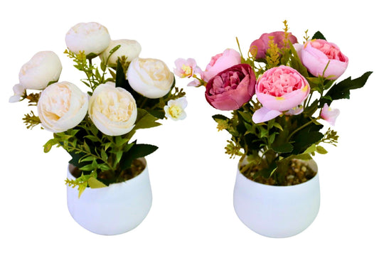 6 Head Rose w/ Pot 22cm 2 Asstd