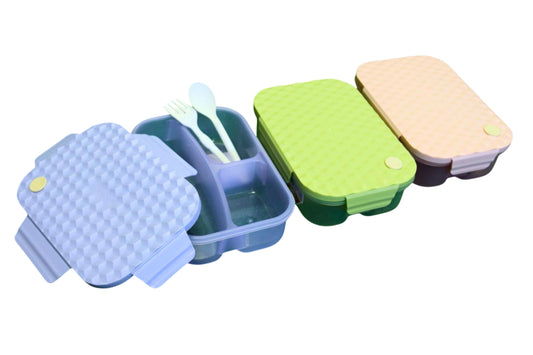 Lunchbox w/Divider 23x16x6.6cm 3 Asstd