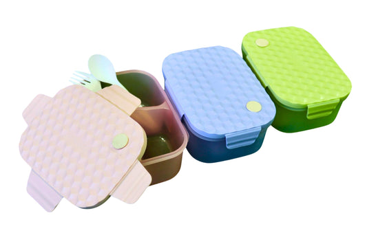 Lunchbox w/Divider 18.7x13.6x7.6cm 3 Asstd