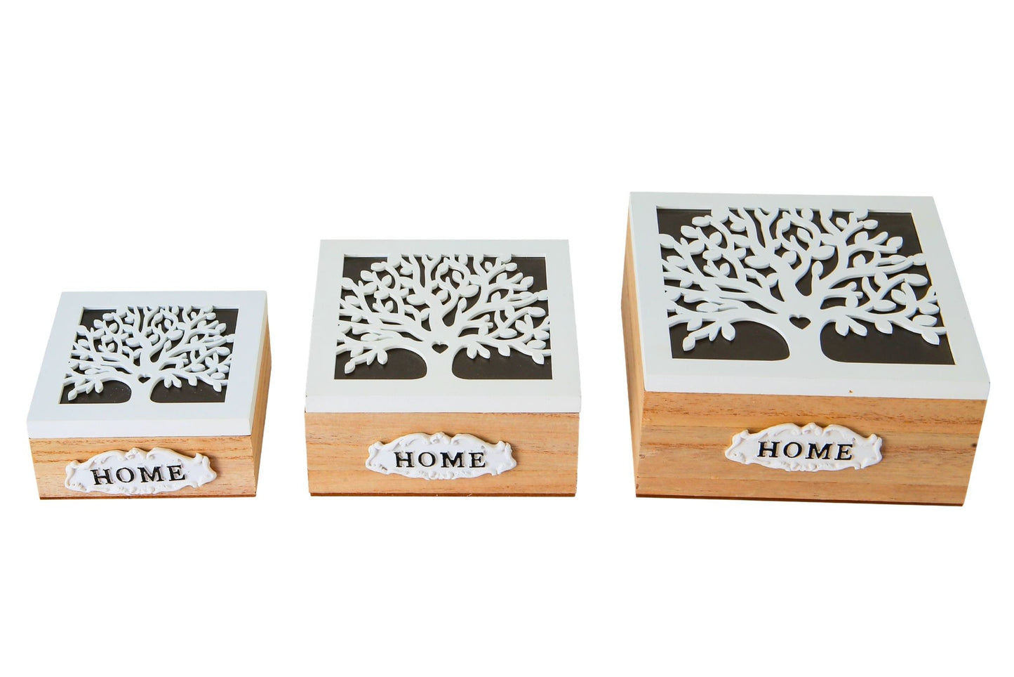 Tree Design Box w/Glass Lid Set of 3 18x18x8.5cm/15x15x7cm/12x12x5.7cm
