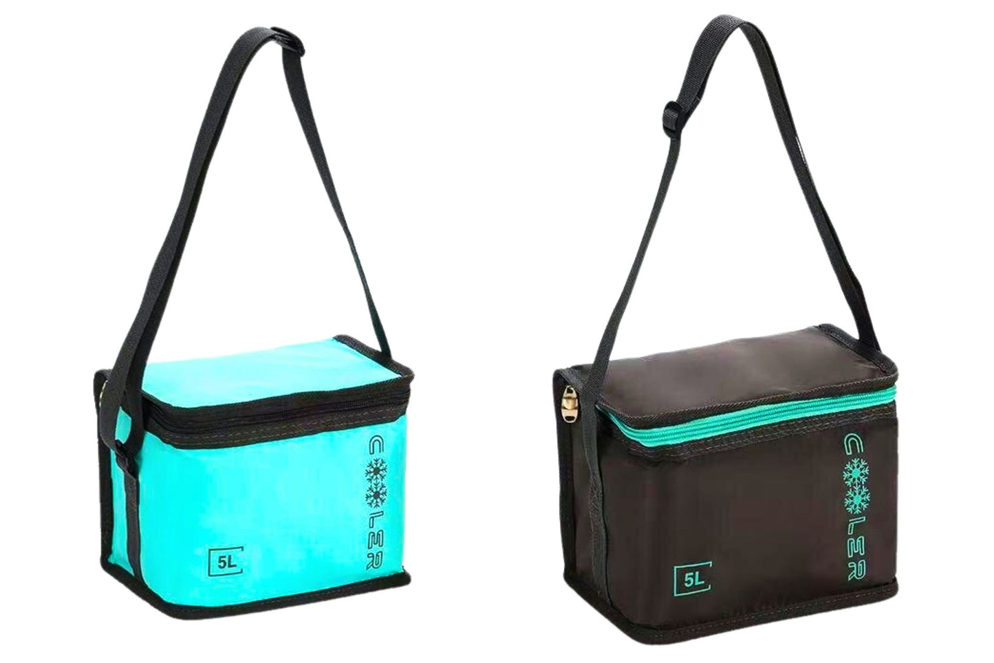 5L Cooler Bag 22x15x16cm Holds 6 Cans 2 Asstd